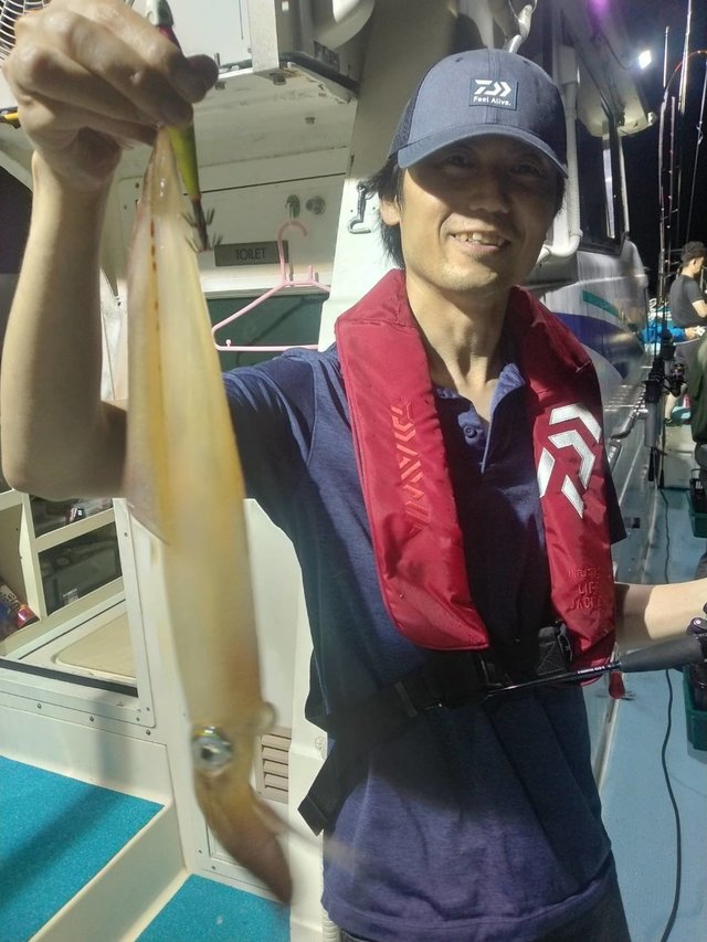 イカ(ヤリイカ)