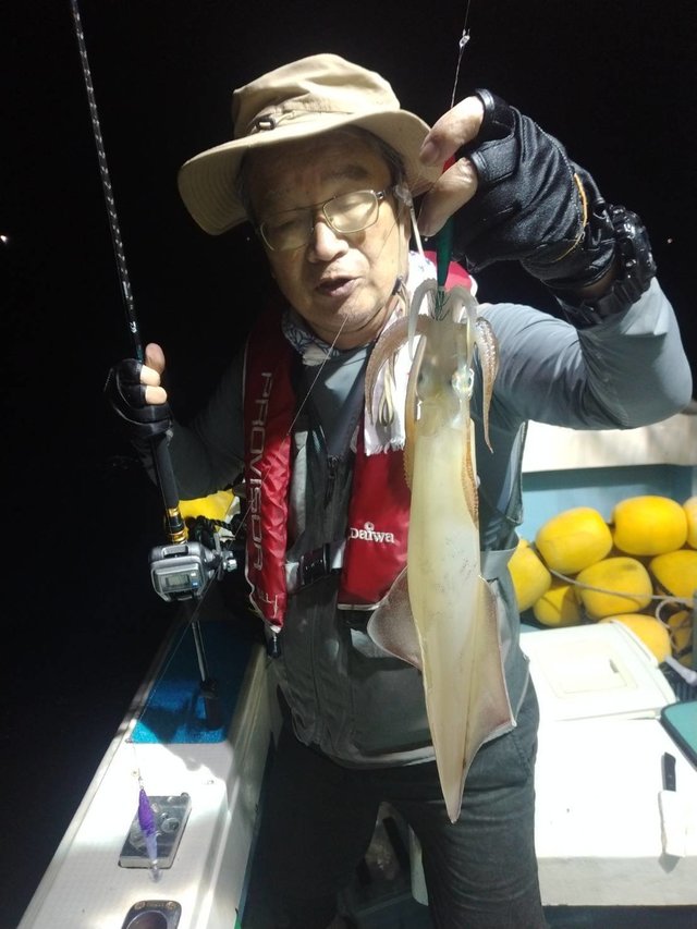 イカ(ヤリイカ)