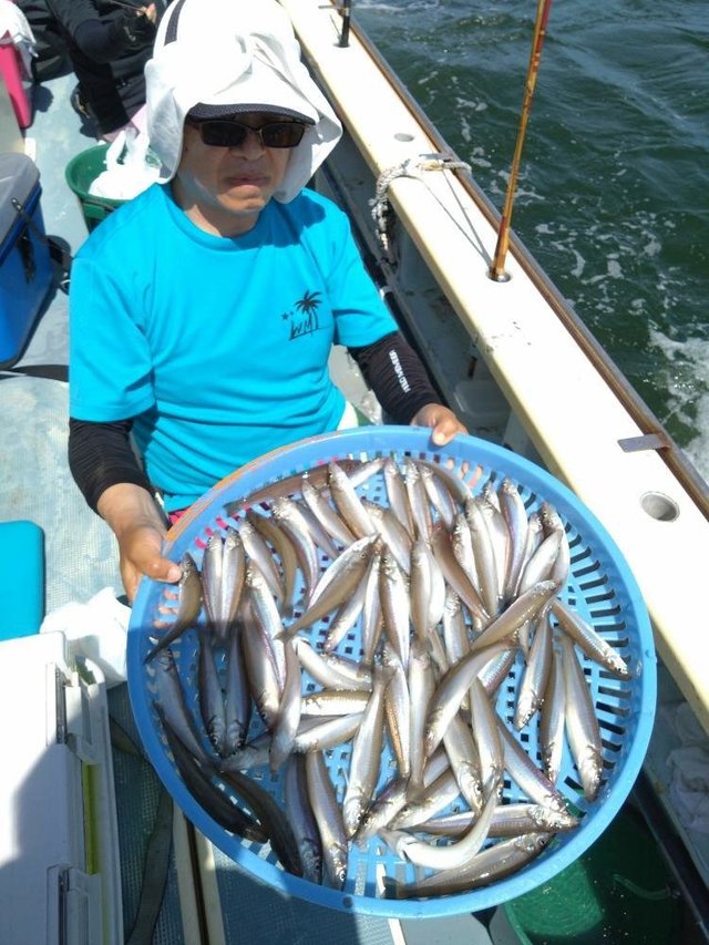 シロキス(シロギス)