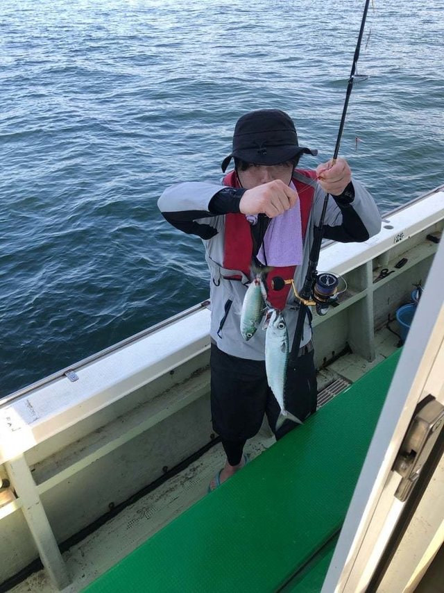 サバ(ゴマサバ)