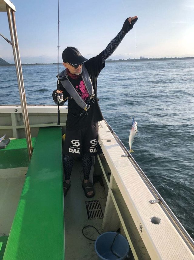 サバ(ゴマサバ)