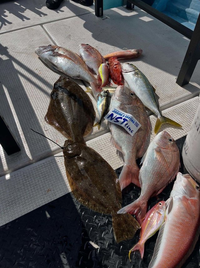 マダイ・アマダイ(アカアマダイ)・イトヨリ(イトヨリダイ)・カサゴ・ヒラメ