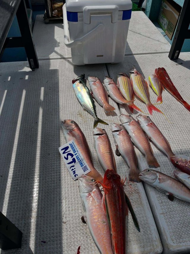 アマダイ(アカアマダイ)・イトヨリ(イトヨリダイ)・ホウボウ・サバ(ゴマサバ)