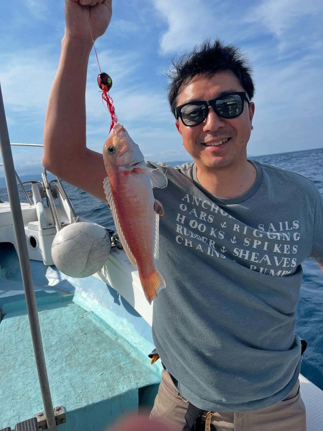 アマダイ(アカアマダイ)