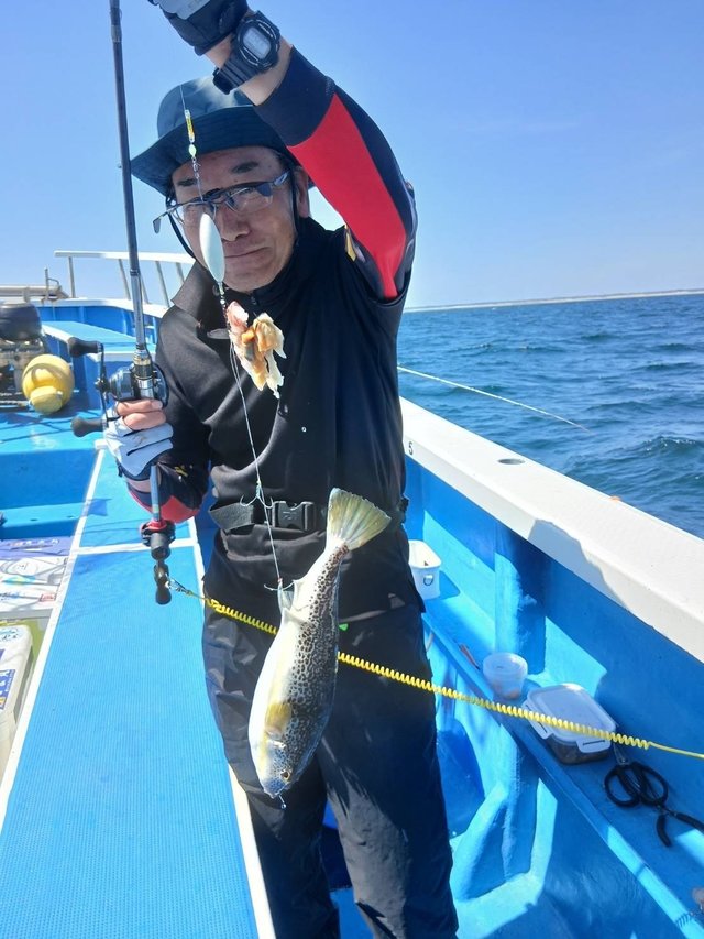 フグ(ショウサイフグ)