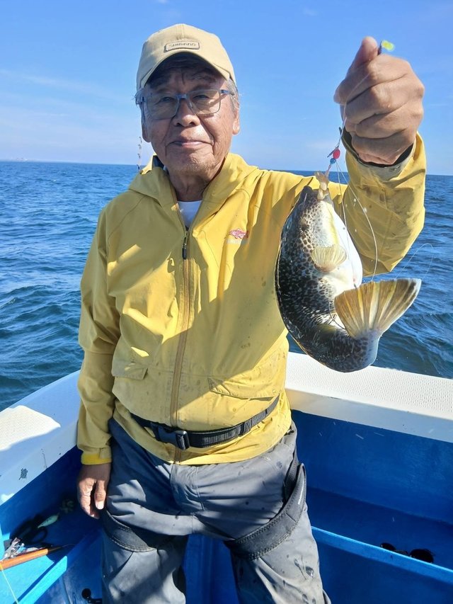 フグ(ショウサイフグ)