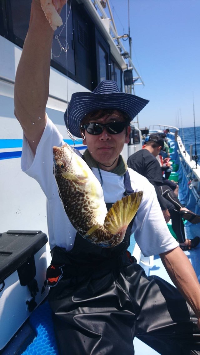 ショウサイフグ