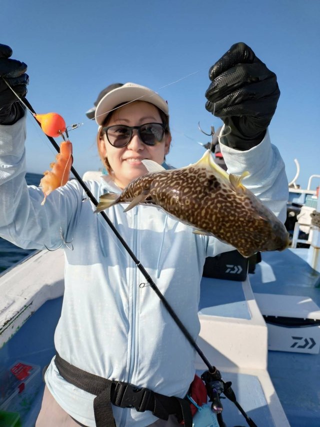 ショウサイフグ