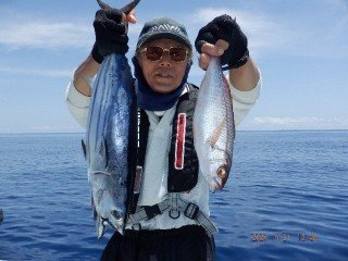 イサキ・カツオ