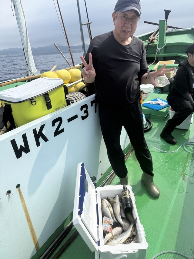 イサギ(イサキ)