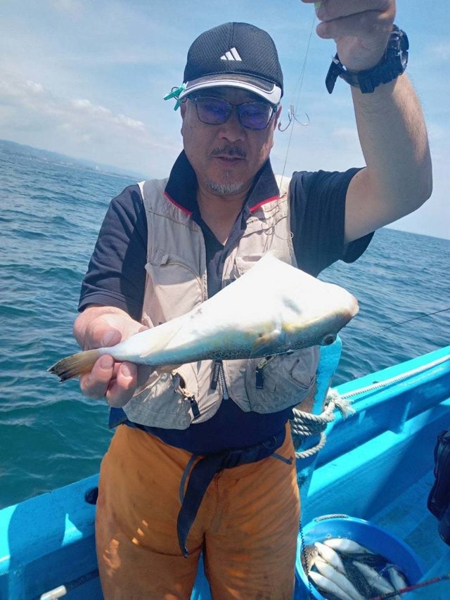 フグ(ショウサイフグ)