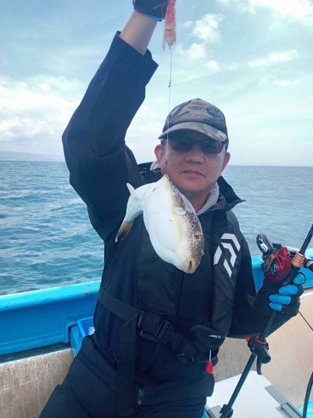 フグ(ショウサイフグ)