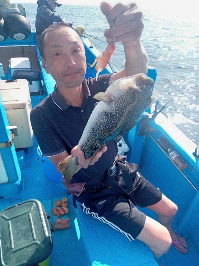 フグ(ショウサイフグ)