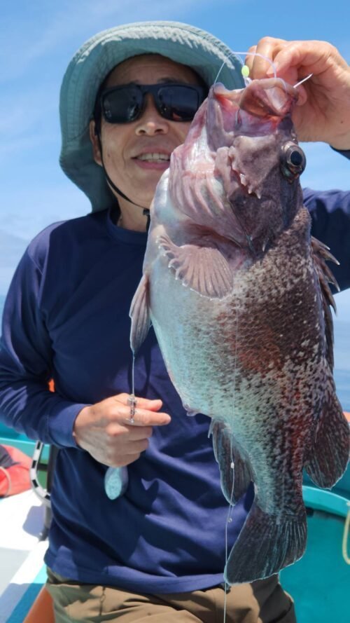 マゾイ(キツネメバル)