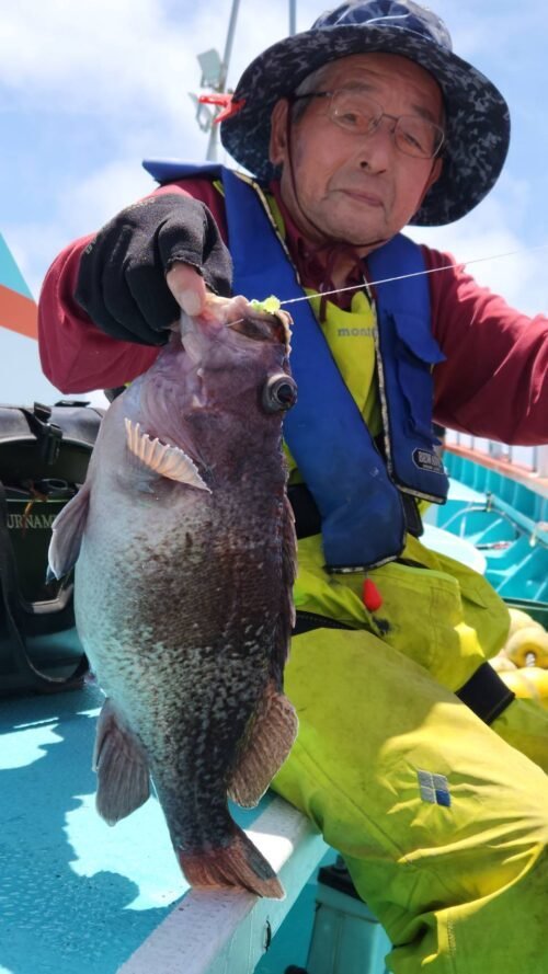 マゾイ(キツネメバル)