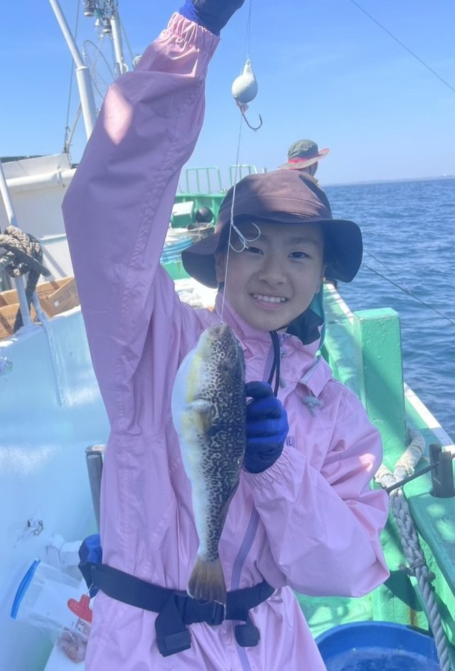 ショウサイフグ