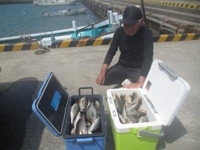 イサギ(イサキ)