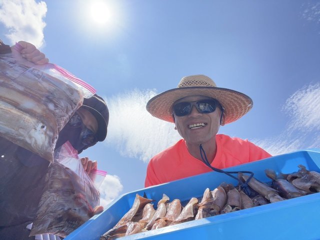 スルメ(スルメイカ)