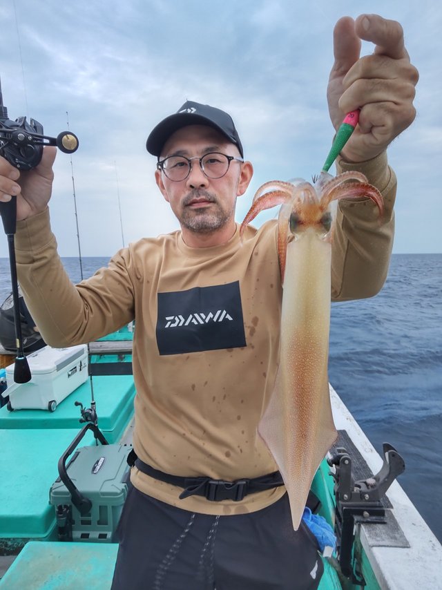 シロイカ(ケンサキイカ)