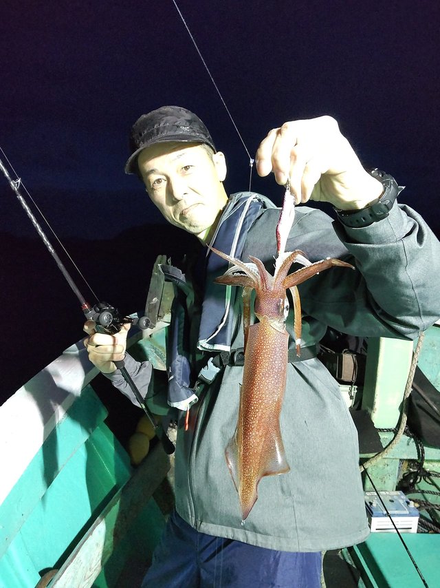 シロイカ(ケンサキイカ)