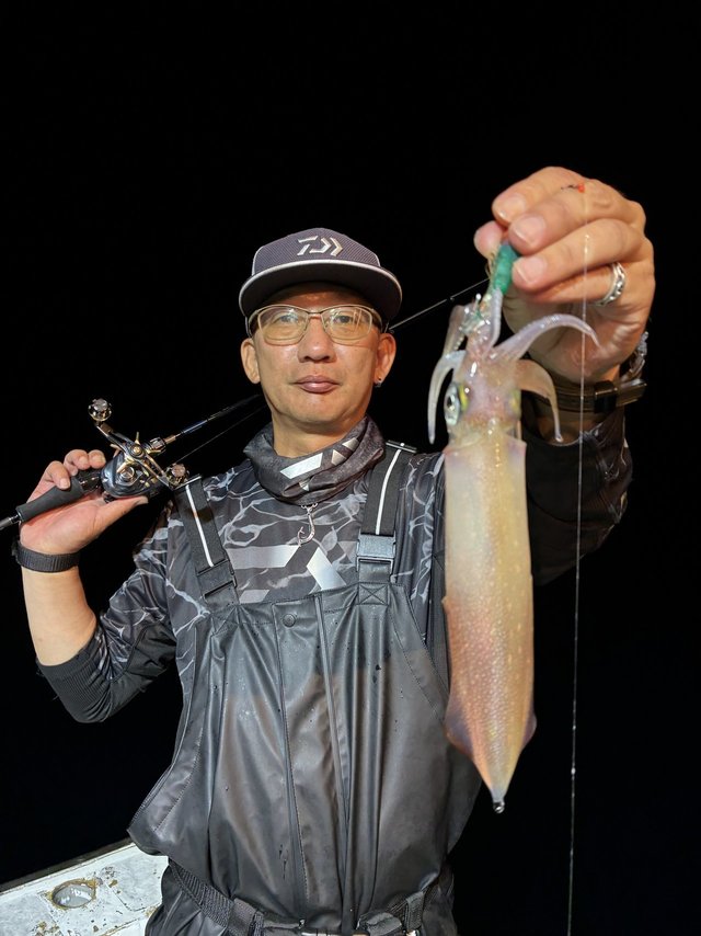 アカイカ(ケンサキイカ)