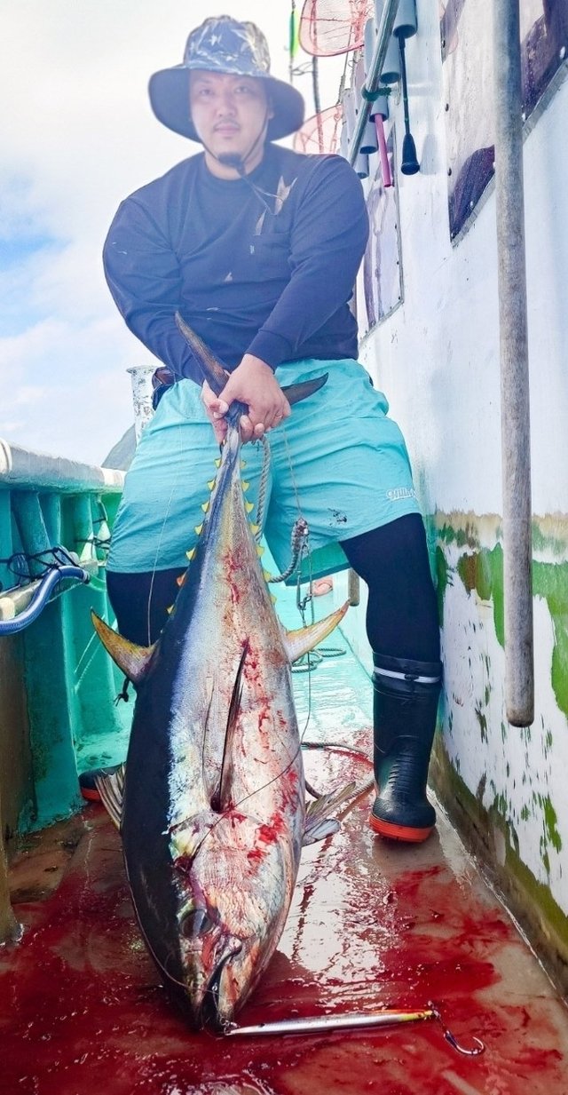 キメジ(キハダ)