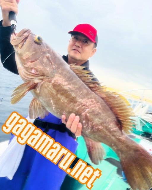 タカバ(マハタ)