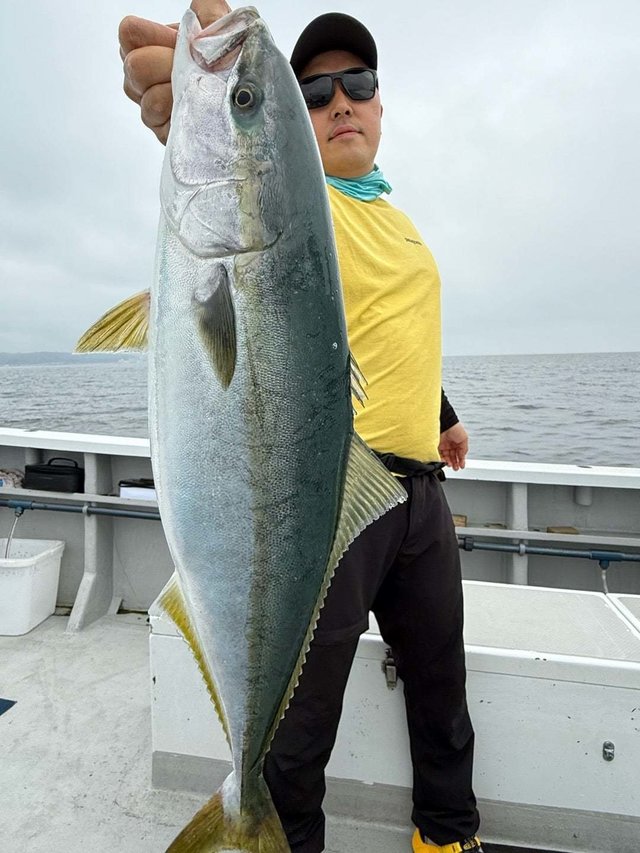 サンパク(ブリ)