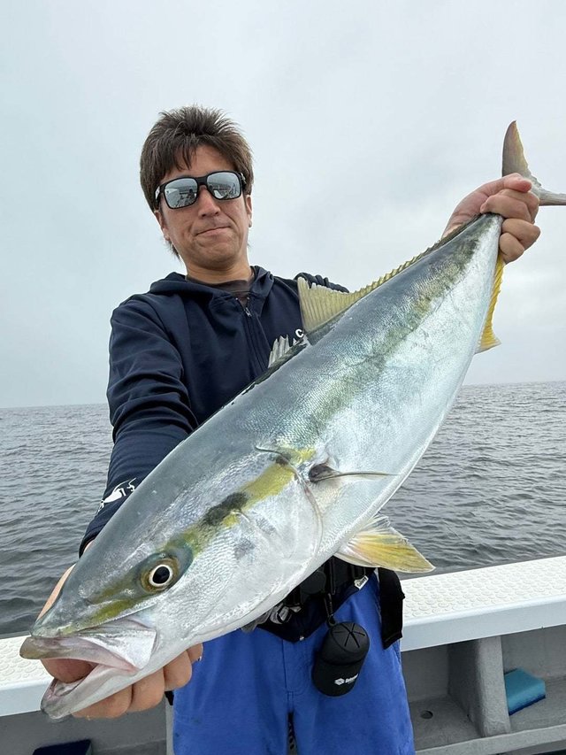 サンパク(ブリ)