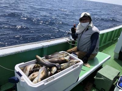 イサギ(イサキ)