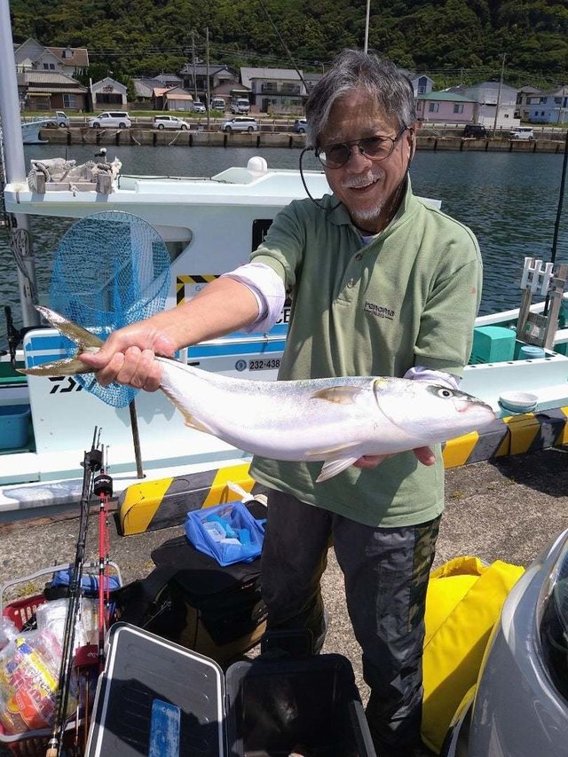 サンパク(ブリ)