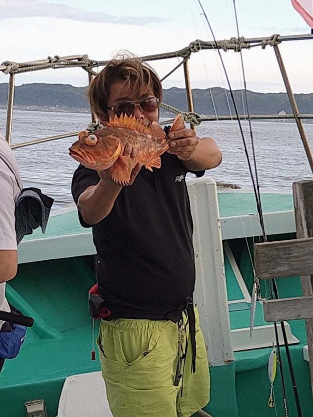 ウッカリカサゴ