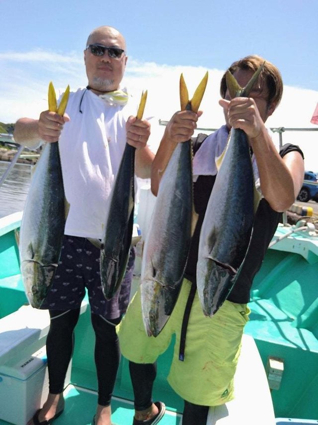 サンパク(ブリ)