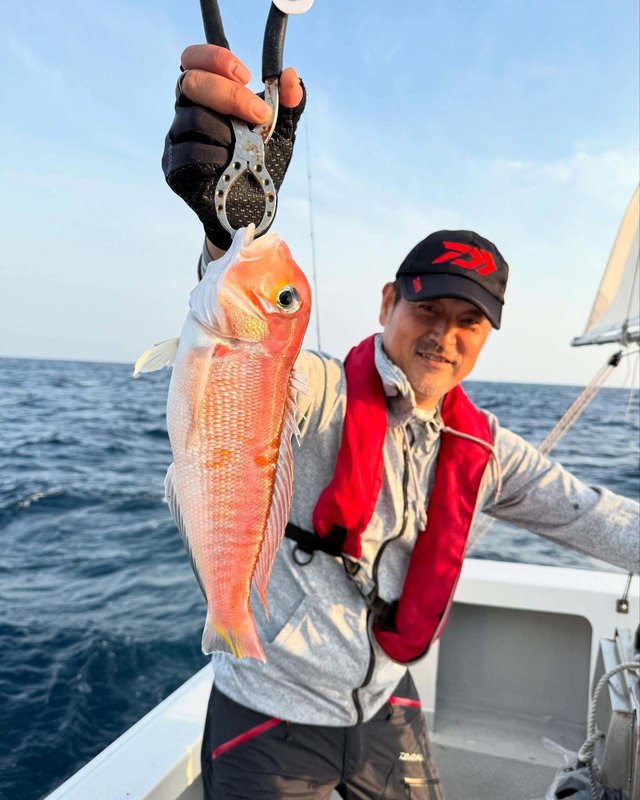 アマダイ(アカアマダイ)