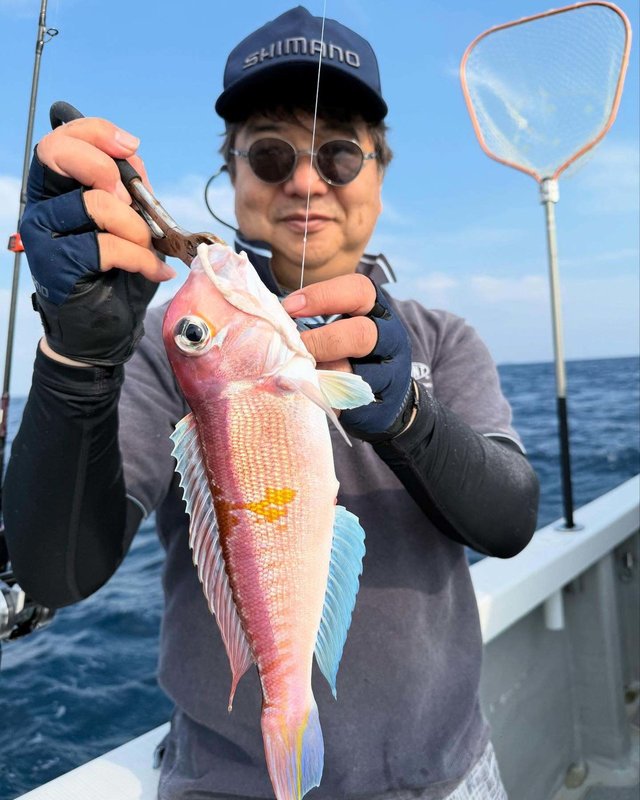 アマダイ(アカアマダイ)