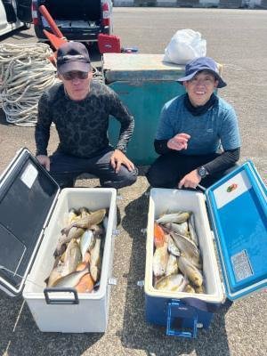 イサギ(イサキ)