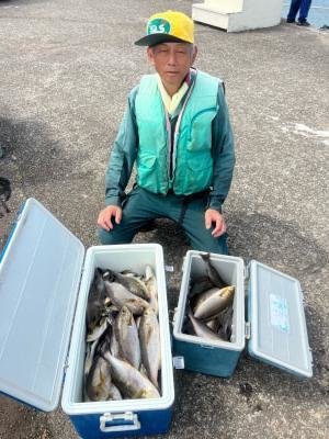 イサギ(イサキ)