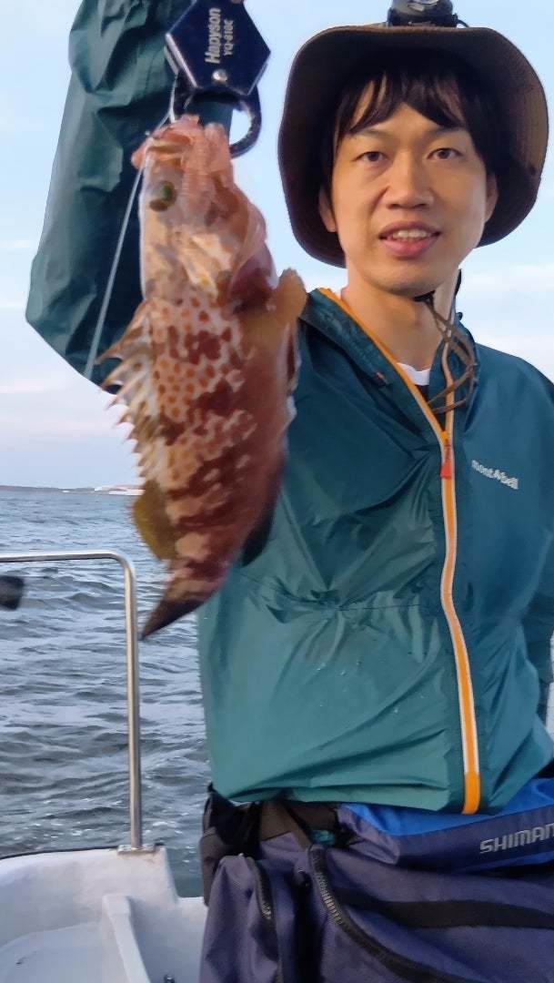 アコウ(キジハタ)