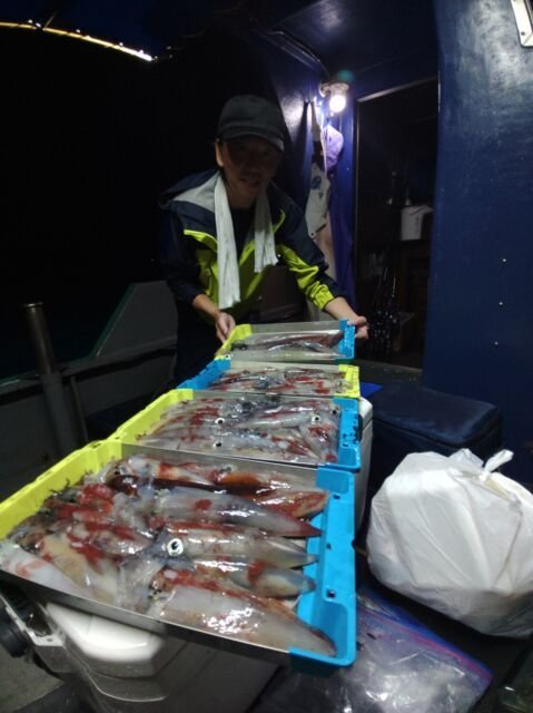 イカ(ヤリイカ)