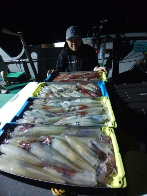 イカ(ヤリイカ)