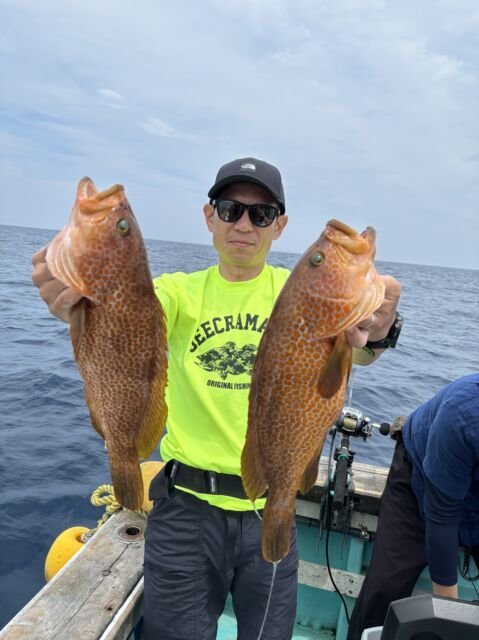 アコウ(キジハタ)