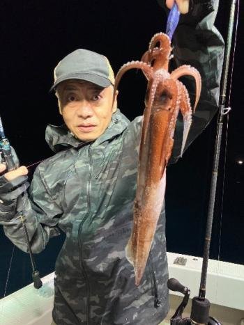 マイカ(ケンサキイカ)