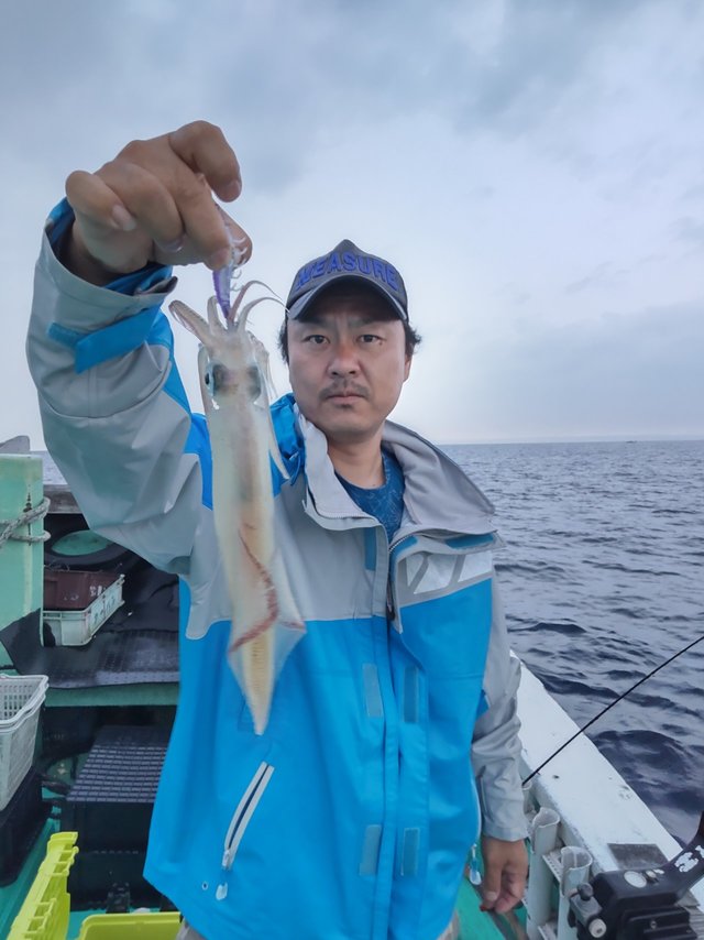 シロイカ(ケンサキイカ)