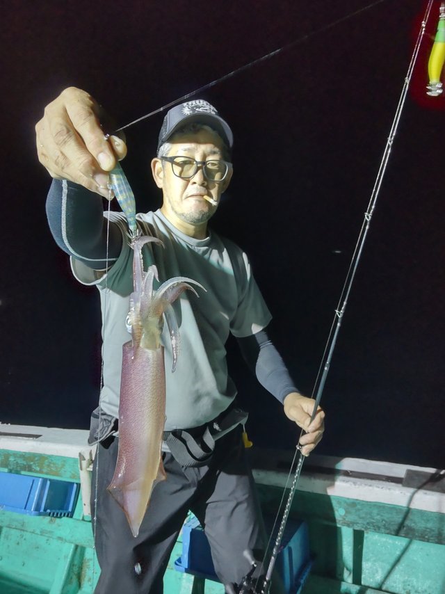 シロイカ(ケンサキイカ)