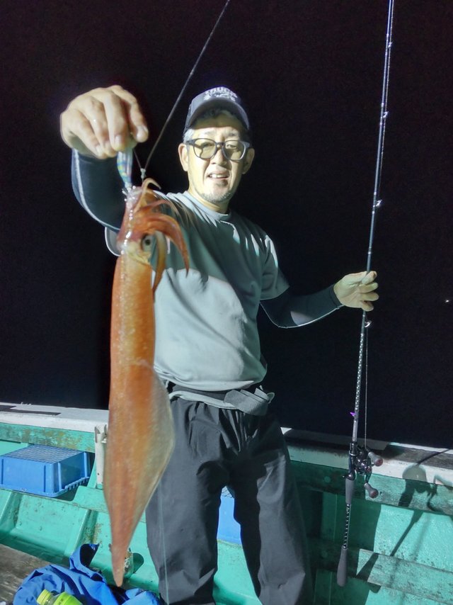 シロイカ(ケンサキイカ)