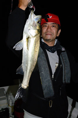 シーバス(スズキ)