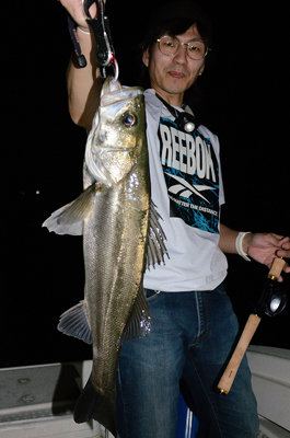 シーバス(スズキ)