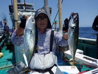 キメジ(キハダ)