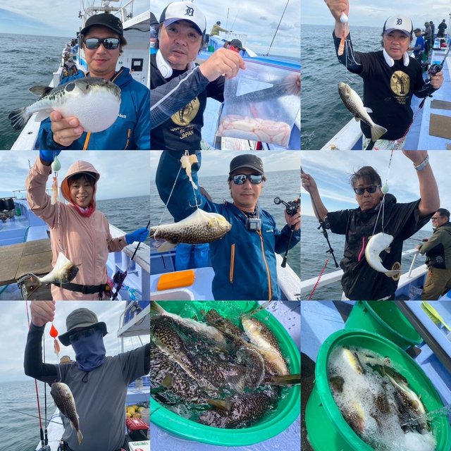 ショウサイフグ