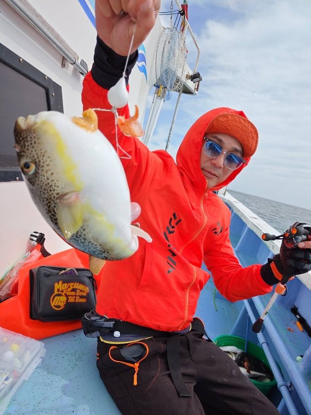 ショウサイフグ